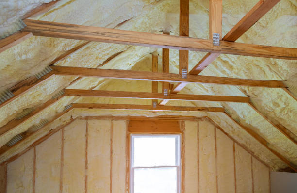 Best Residential Insulation in Cera, AL